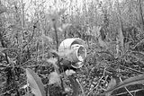 waste deposit_030